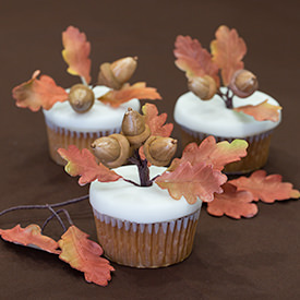 Beautiful Autumn Leaves with Acorn