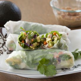 Chicken Avocado Spring Rolls