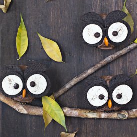 Halloween Owl Cupcakes