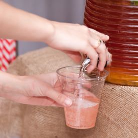 Passionfruit and Cranberry Punch