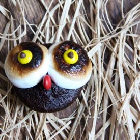 Owl Cupcakes