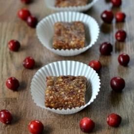 Cranberry Apple Energy Bars