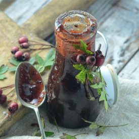 Hawthorn Berry Ketchup