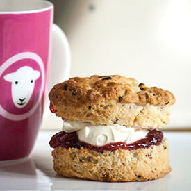 Raspberry & White Chocolate Scones