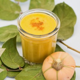 Pumpkin Smoothie