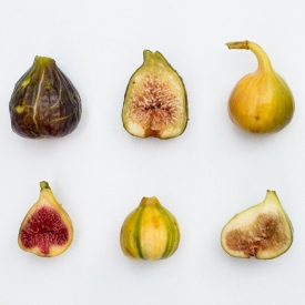 4 Unusual Fig Varieties to Try Now