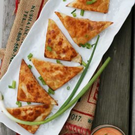 Buffalo Chicken Wontons