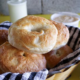 New York Style Bagels