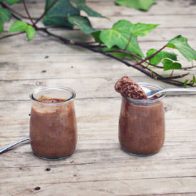 Two Ingredient Chocolate Mousse