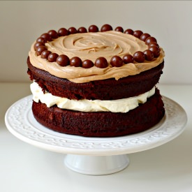 Choc-Malt Cake