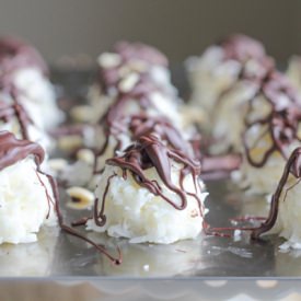 Coconut Joys