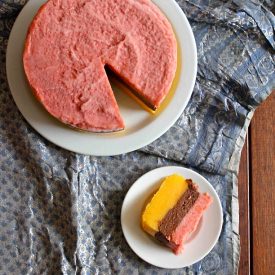 Layered Sorbet Cake