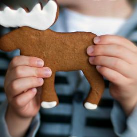 12 Holiday Cookie Recipes