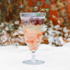 Prosecco Float