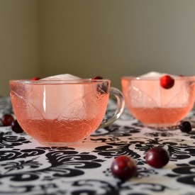 Cranberry Ginger Punch