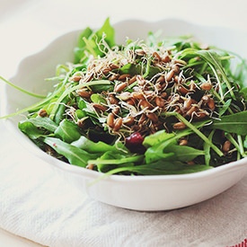 Cranberry Wheat Sprouts Salad
