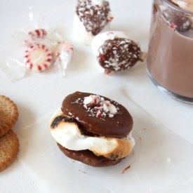 Chocolate Peppermint Smores