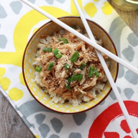 Chicken Teriyaki in Slow Cooker
