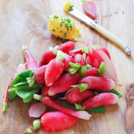 Radish Crudité