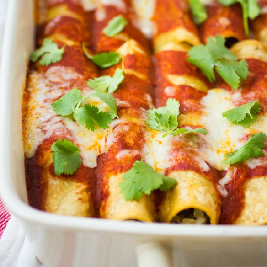 Winter Vegetable Enchiladas