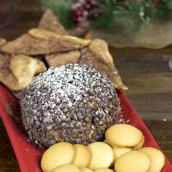 Chocolate Peanut Butter Cheese Ball