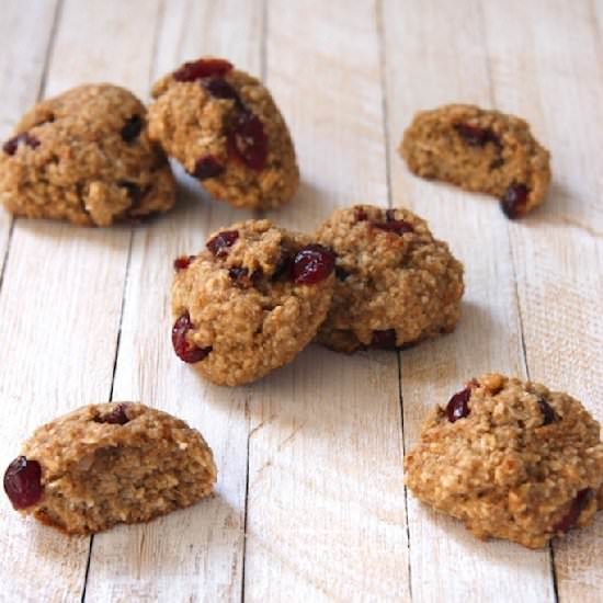 Cranberry Coconut Breakfast Cookies