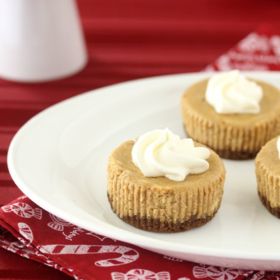 Gingerbread Cheesecake Cupcakes
