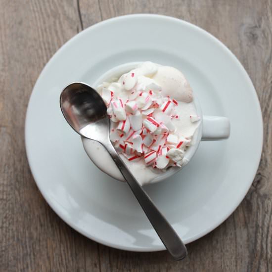 The BEST Peppermint Hot Chocolate