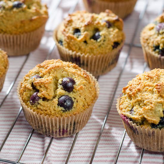 Blueberry Paleo Muffins