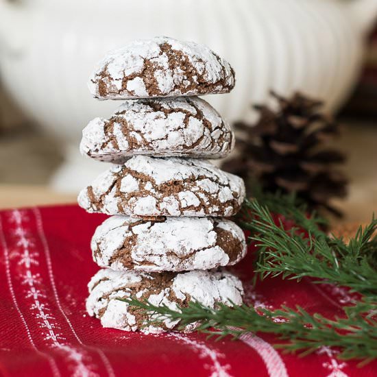 Chocolate Snowball Cookies