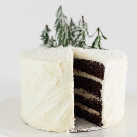 Winter Chocolate Cake