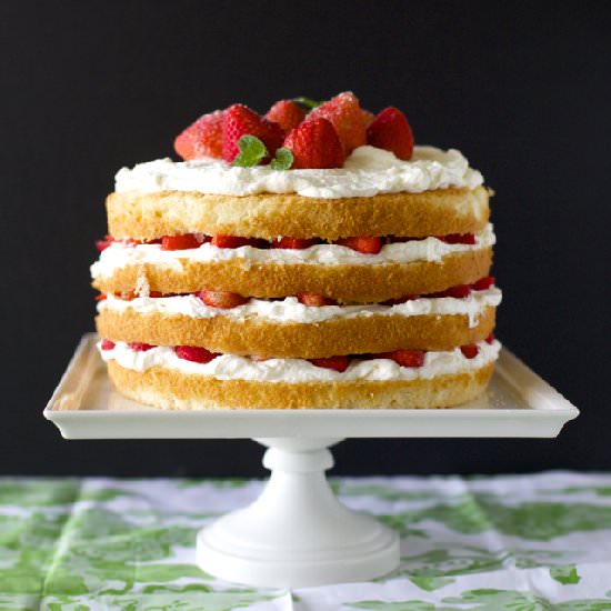 Strawberry Genoise Cake