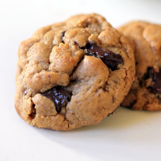 Flourless PB Chocolate Cookies