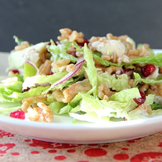 Winter Farro Salad