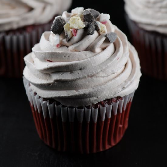 Peppermint Bark Red Velvet Cupcake