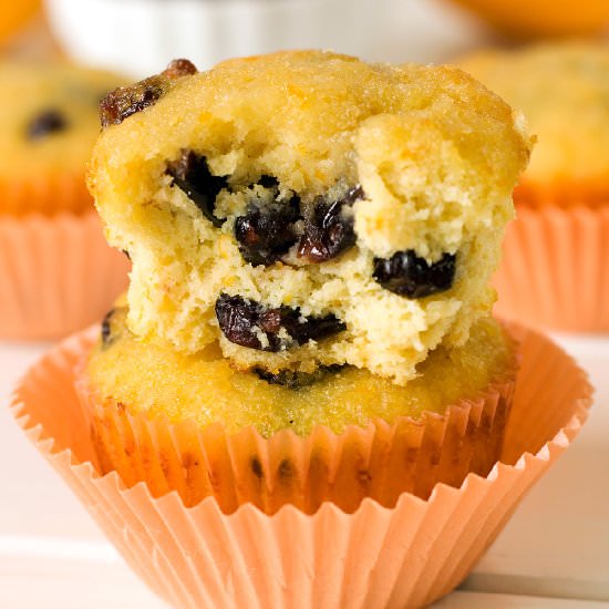 Gluten Free Cranberry Orange Muffin