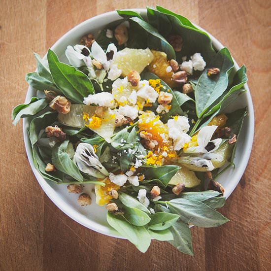 Fava leaf salad