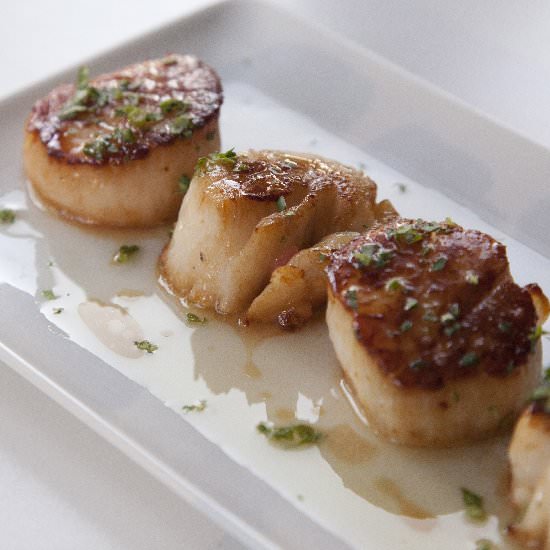 Seared Scallops in Lemon Butter