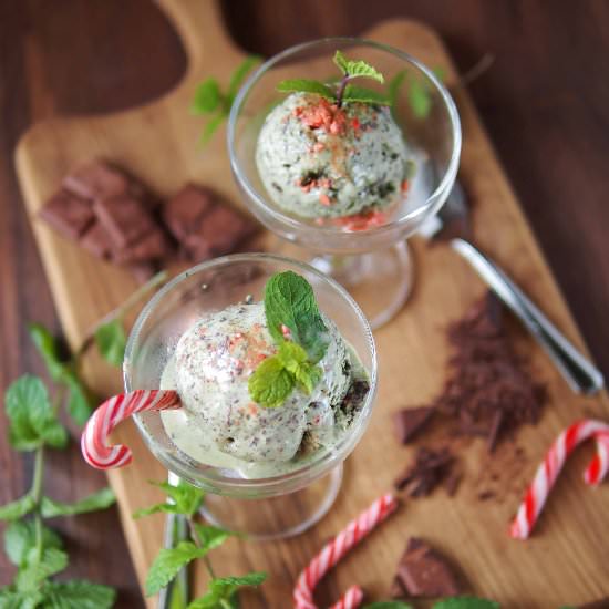 Mint Chocolate Chip Ice Cream