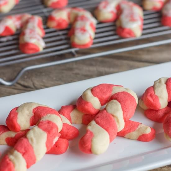 Iced Candy Cane Sugar Cookies