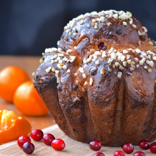 Chocolate Cranberry Brioche