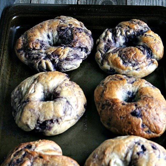 NY Style Blueberry Bagels