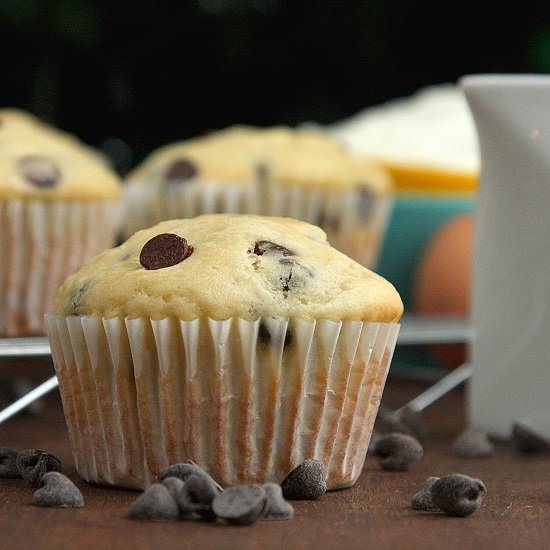 Chocolate Chip Yogurt Muffins