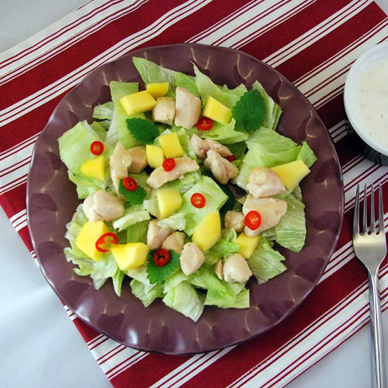 Chicken Salad with Mango and Mint