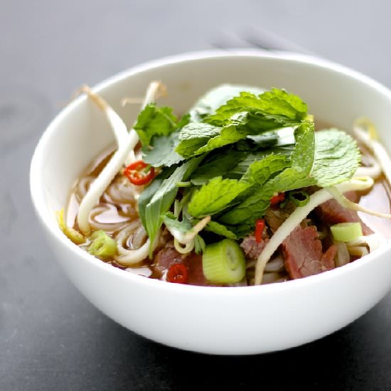 The Pride of Vietnam: Phó
