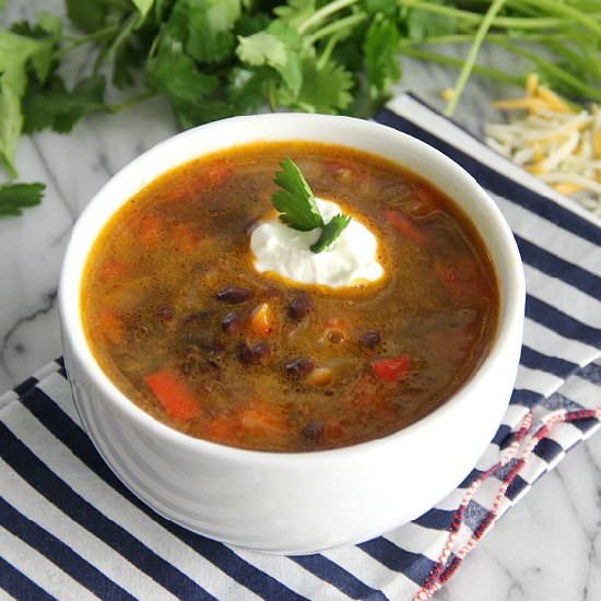 Spicy Black Bean Soup
