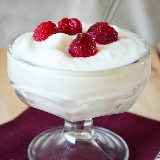 Homemade Creamy or Greek Yogurt