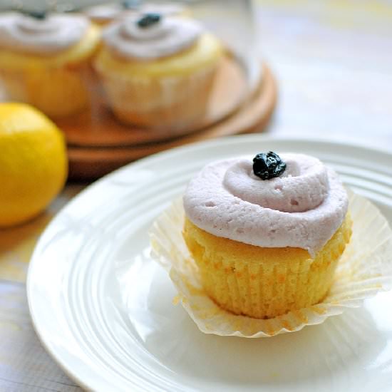 Lemon Cupcakes w/Blueberry Buttercr