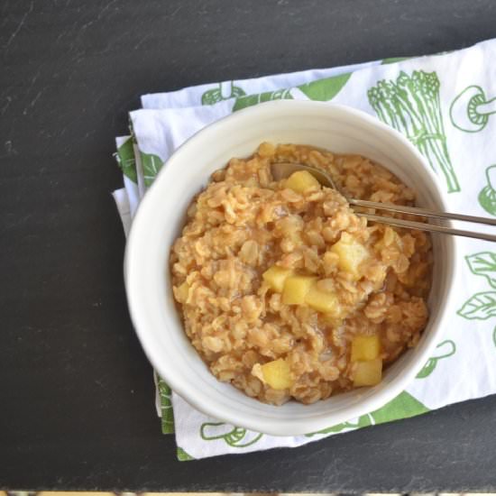 Fantastic Fruit Oatmeal