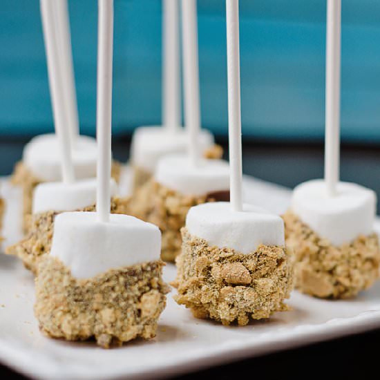 S’mores on a Stick